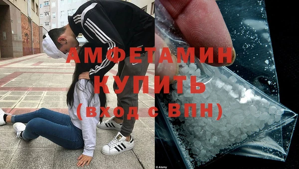 стаф Алексин