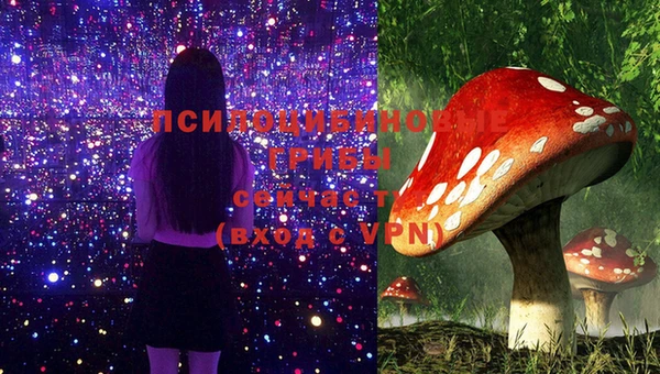 стаф Алексин