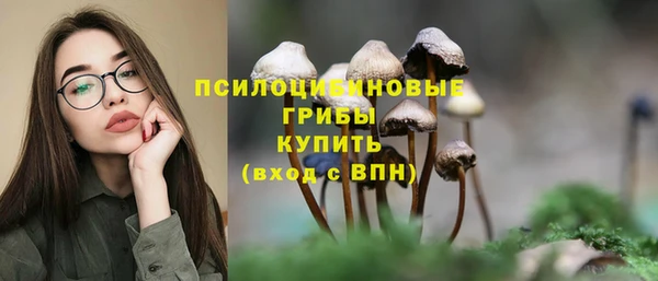 соль ск Абдулино