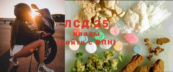 стаф Алексин