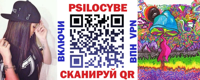 Галлюциногенные грибы Psilocybe как найти наркотики Керчь